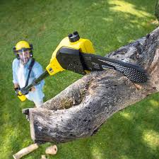 Best Lawn Watering Services  in Richmond, CA